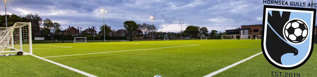 Hornsea College 3G